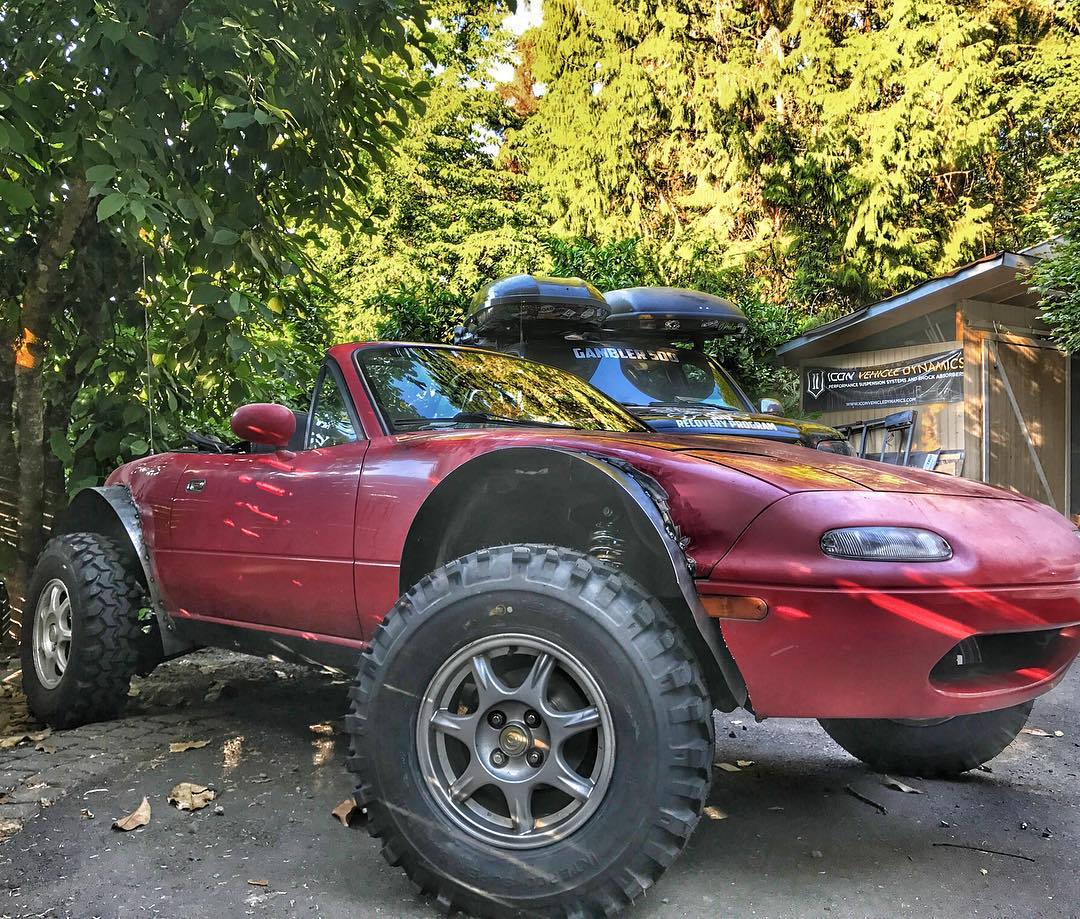 The Gambler 500
